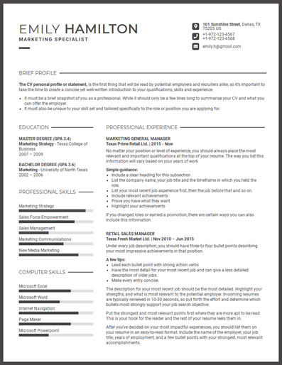 Resume Template 62